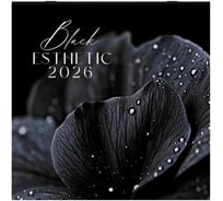 Календарь настенный перекидной BRAUBERG 2026г, 12 листов, 28,5х28,5см, Black esthetic 116927