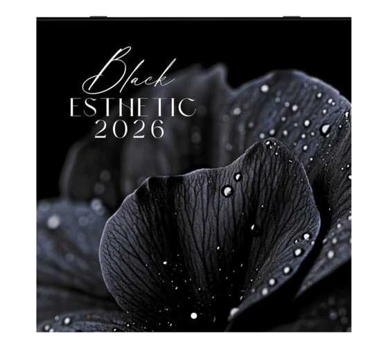 Календарь настенный перекидной BRAUBERG 2026г, 12 листов, 28,5х28,5см, Black esthetic 116927 1