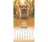 Календарь настенный перекидной BRAUBERG 2026г, 12 листов, 21,4х21,4см, МИНИ, Magic animals, 116943 12