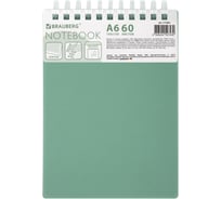 Бизнес-блокнот BRAUBERG малый формат, А6, 60л, силиконовый гребень, обложка пластик, клетка, зеленый, 117564
