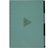 Тетрадь-обложка BRAUBERG пластик А4 80л. гребень, 4 разделителя, клетка,, зеленый 405363