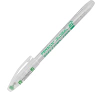 Ручка шариковая масляная Pensan Global-21, зеленая, комплект 12 шт., корпус прозрачный, узел 0,5мм, линия 0,3мм, 2221 142705