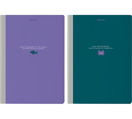 Бизнес-тетради BRAUBERG ДЭК А4, 96листов, 2 шт. на сшивке с корешком, клетка, Monocolor, 405298 1