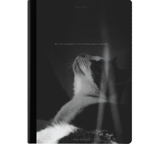 Бизнес-тетрадь BRAUBERG ДЭК А4, 96листов, на сшивке с корешком, клетка, Мудрый Кот, 405302 1