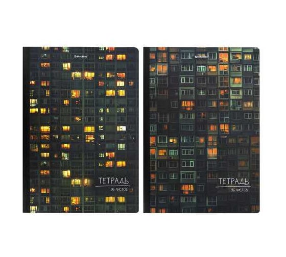 Бизнес-тетрадь BRAUBERG А4 96л, на сшивке с корешком, 2 шт., клетка, обложка картон, многоэтажки 405285 1
