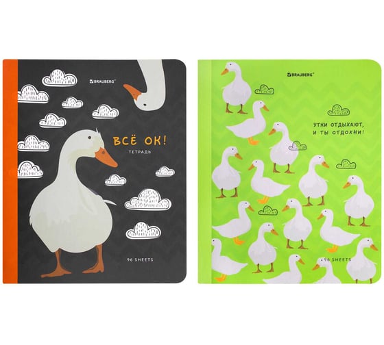 Тетради BRAUBERG ДЭК А5 96л, комплект 2 шт. на сшивке с корешком, клетка, Гуси-Расслабуси 405310 1
