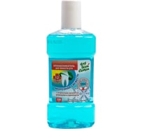 Ополаскиватель для полости рта ОФИСМАГ 350мл ДЛЯ ВСЕЙ СЕМЬИ Морозная свежесть, КОМПЛЕКТ 18 шт., РЕНЕССАНС КОСМЕТИК, ш/к 66465 702122