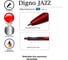 Ручка премиальная автоматическая Digno JAZZ 0,7 мм, корпус красный, чернила синие, 25 шт. JAZZ RED-BLUE-25 2