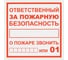 Плакат TDM ELECTRIC Ответственный за пожарную безопасность 200х200мм, упаковка 10 штук SQ0817-0069 2