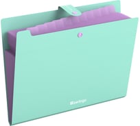Папка Berlingo 12 отделений Haze, А4, 600мкм, на кнопке, мятная, XF412922 XF4_12922