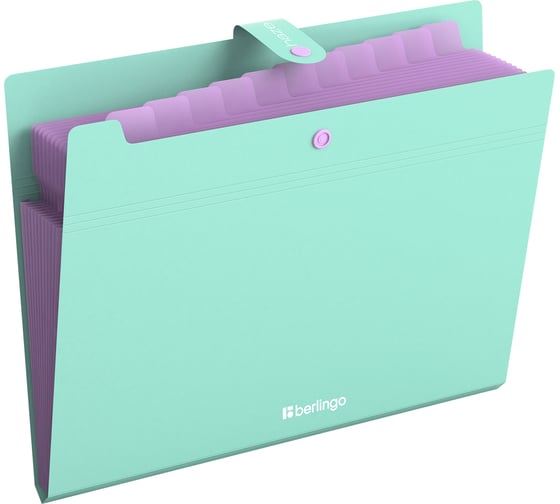 Папка Berlingo 12 отделений Haze, А4, 600мкм, на кнопке, мятная, XF412922 XF4_12922 1