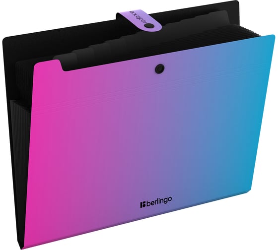 Папка Berlingo 12 отделений Radiance, А4, 600мкм, на кнопке, розовый, XF412002 XF4_12002 1