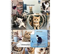 Блокнот А6 BRAUBERG, 16 листов, 96 цветных стикеров, на гребне, Коты мемы 666050