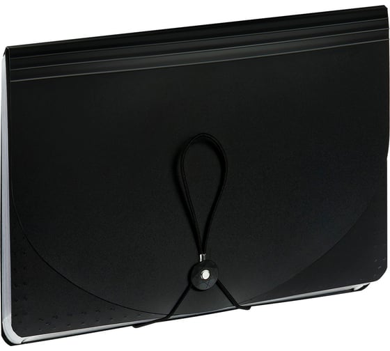 Папка-органайзер для хранения документов Стамм А4, 25 отделений, черный ММ-322751 1