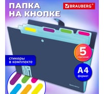 Папка-органайзер на кнопке BRAUBERG Extra 5 отделений, А4, синяя с голубым 274096