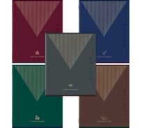 Бизнес-тетрадь Staff А5 48л College скоба, линия, офсет №2 ЭКОНОМ, КОМПЛЕКТ 10 шт., обложка картон, РОДИНА, 405629