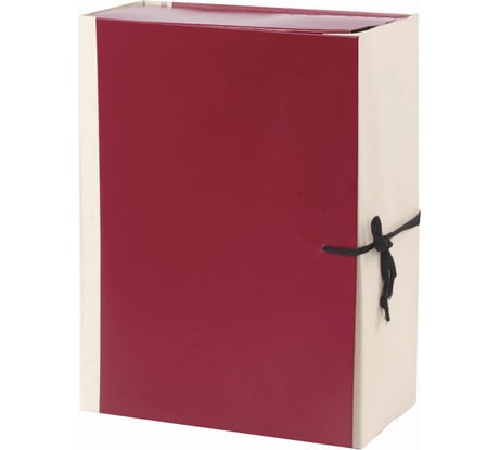 Папка для бумаг архивная ОФИСМАГ А4 (225х310 мм), 120 мм, 4 завязки, бумвинил, корешок - коленкор, 123201