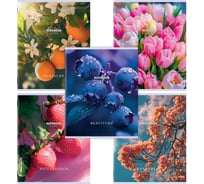 Бизнес-тетрадь Staff А5 48л. College скоба, клетка, офсет №2 ЭКОНОМ, обложка картон, ПРИРОДА, КОМПЛЕКТ 10 шт 405626