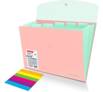Папка-органайзер конверт на кнопке22 BRAUBERG 6 отделений, Extra, A4, персиковая с мятным, 274102