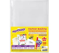 Папки-файлы ЮНЛАНДИЯ перфорированные А4 комплект 100 шт, гладкие, 35 мкм 228680