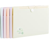 Папка на резинке Deli Colorful, , с разделителями, 8 отделений, А4 полипропилен, 5 цветов ассорти EF615