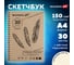 Скетчбук BRAUBERG 150 г/м2, 210х297 мм, 30 листов, гребень 128947 2