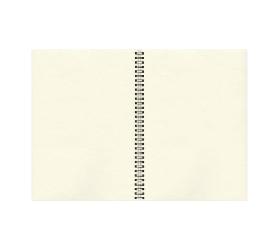 Скетчбук BRAUBERG 150 г/м2, 297х420 мм, 30 листов, гребень 128946