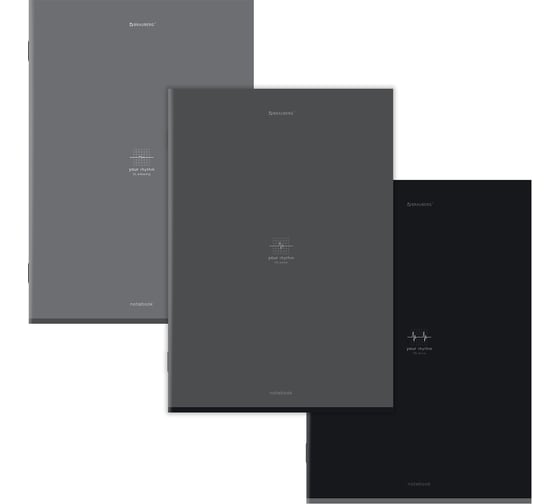 Бизнес-тетрадь BRAUBERG ДЭК А4, 96л, 3 шт. скоба, клетка, матовая ламинация, Ритм, 404886