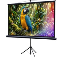 Экран на штативе Lumien LEV-100113 Eco View 110x192см (раб.область104х186 см) (84) Matte White 16:9 \3\ 155756