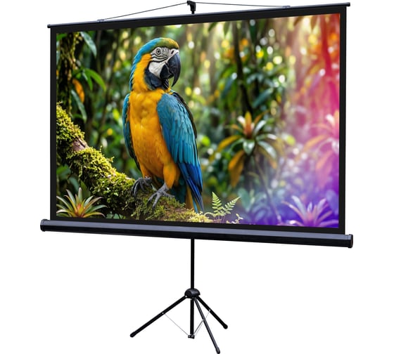 Экран на штативе Lumien LEV-100113 Eco View 110x192см (раб.область104х186 см) (84) Matte White 16:9 \3\ 155756 1