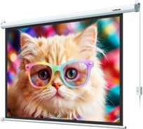 Экран с электроприводом Lumien LEC-100119 Eco Control 157x227 см (раб. область 124х221 см) (100) Matte White, верх.кайма 30 см, чер \3\ 155766