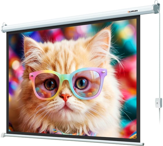 Экран с электроприводом Lumien LEC-100119 Eco Control 157x227 см (раб. область 124х221 см) (100) Matte White, верх.кайма 30 см, чер \3\ 155766