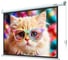 Экран с электроприводом Lumien LEC-100119 Eco Control 157x227 см (раб. область 124х221 см) (100) Matte White, верх.кайма 30 см, чер \3\ 155766 1