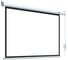 Экран с электроприводом Lumien LEC-100119 Eco Control 157x227 см (раб. область 124х221 см) (100) Matte White, верх.кайма 30 см, чер \3\ 155766 9
