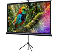 Экран на штативе Lumien LEV-100114 Eco View 115x200см (раб.область109х194 см) (88) Matte White 16:9 \3\ 155757
