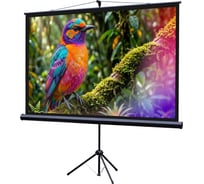 Экран на штативе Lumien LEV-100115 Eco View 130x227см (раб.область124х221 см) (100) Matte White 16:9 \3\ 155758