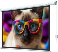 Экран с электроприводом Lumien LEC-100118 Eco Control 137x192 см (раб. область 104х186 см) (84) Matte White, верх.кайма 30 см, черн \3\ 155765