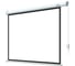 Экран с электроприводом Lumien LEC-100118 Eco Control 137x192 см (раб. область 104х186 см) (84) Matte White, верх.кайма 30 см, черн \3\ 155765 8