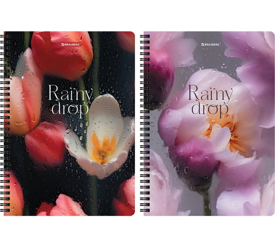 Бизнес-тетради BRAUBERG ДЭК А4 96л, 2 шт.,  гребень, клетка, блок 80г/м2, SoftTouch, Эстетика, 405586