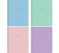 Бизнес-тетради BRAUBERG ДЭК А5 48л. КОМПЛЕКТ 4 шт.  гребень, клетка, блок 80г/м2, SoftTouch, Minimal 405579