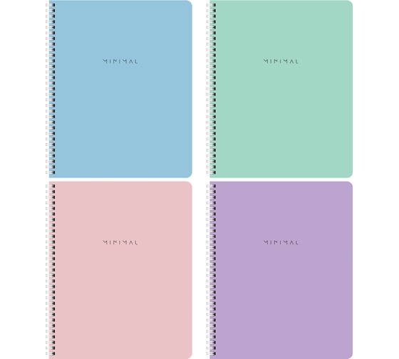 Бизнес-тетради BRAUBERG ДЭК А5 48л. КОМПЛЕКТ 4 шт.  гребень, клетка, блок 80г/м2, SoftTouch, Minimal 405579