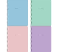 Бизнес-тетради BRAUBERG ДЭК А5 96л. КОМПЛЕКТ 4 шт.  гребень, клетка, блок 80г/м2, SoftTouch, Minimal 405582