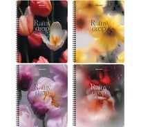 Бизнес-тетради BRAUBERG ДЭК А5 96л. КОМПЛЕКТ 4 шт.  гребень, клетка, блок 80г/м2, SoftTouch, Эстетика 405583