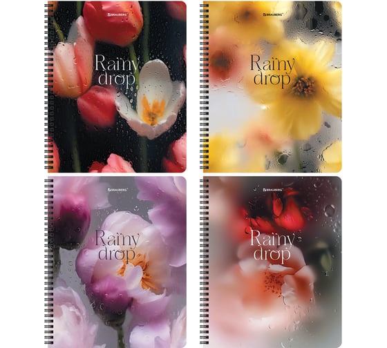 Бизнес-тетради BRAUBERG ДЭК А5 96л. КОМПЛЕКТ 4 шт.  гребень, клетка, блок 80г/м2, SoftTouch, Эстетика 405583