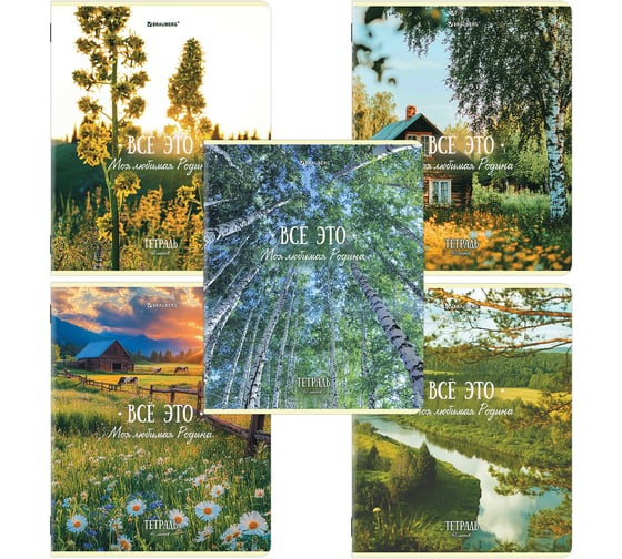 Тетрадь BRAUBERG А5 48л. скоба, клетка, КОМПЛЕКТ 5 шт., глянцевый лак, Русская природа (микс в спайке), 405651