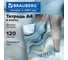Бизнес-тетрадь BRAUBERG А4, 120л, гребень, клетка, глянцевый лак, Мрамор, 405641 2