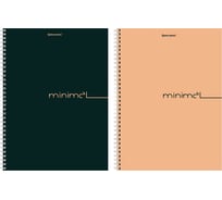 Бизнес-тетрадь BRAUBERG А4 120л. гребень, клетка, матовая ламинация, Минимал_Цвет, 405642