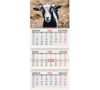 Календарь квартальный BRAUBERG 2027г, 3 блока 3 гребня, бегунок, офсет, Символ года 118245