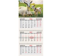 Календарь квартальный BRAUBERG 2027г, 3 блока 3 гребня, бегунок, офсет, Символ 2027 118247