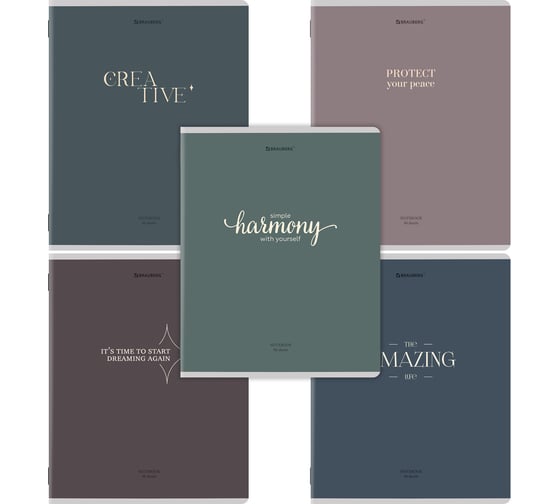 Тетради BRAUBERG ДЭК А5 96л. КОМПЛЕКТ 5 шт. скоба, клетка, матовая ламинеация, Моноколор, 404978